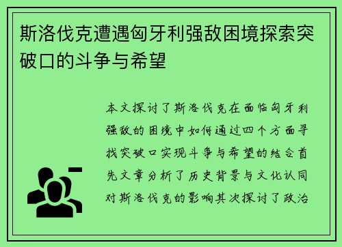 斯洛伐克遭遇匈牙利强敌困境探索突破口的斗争与希望