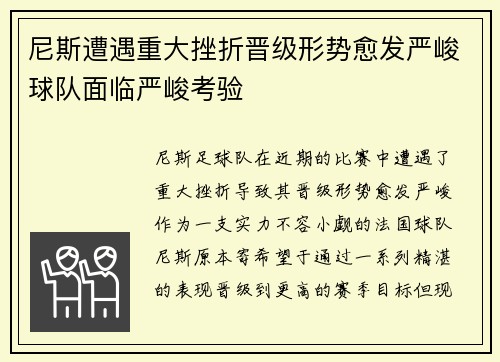 尼斯遭遇重大挫折晋级形势愈发严峻球队面临严峻考验