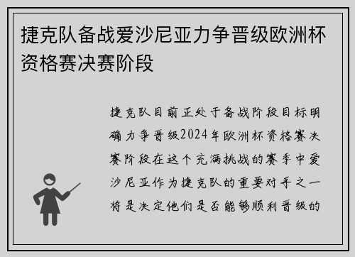 捷克队备战爱沙尼亚力争晋级欧洲杯资格赛决赛阶段